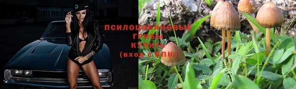 гидропоника Алексеевка