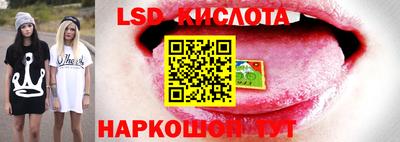дмт Краснодар