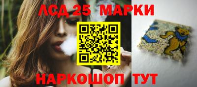 дмт Краснодар