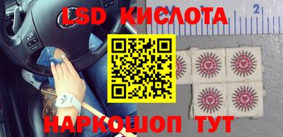 дмт Краснодар