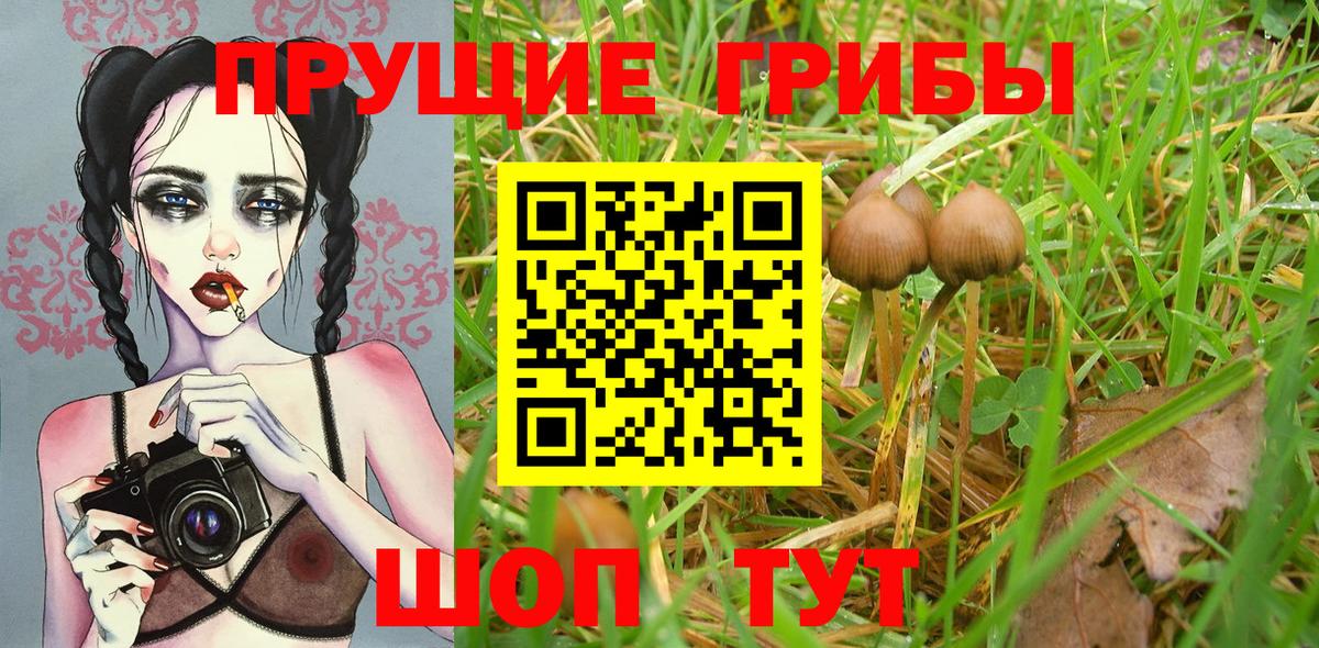 Галлюциногенные грибы GOLDEN TEACHER  Псилоцибиновые грибы Cubensis  Вход с VPN  Канаш 