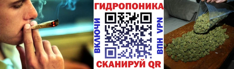 Бошки марихуана семена  продажа наркотиков  Канаш 